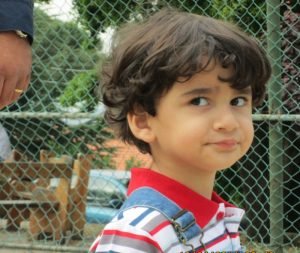 The Grain of Wheat in Lebanon